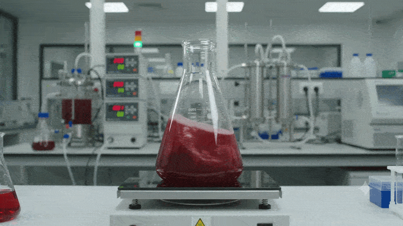 LASP Processing
